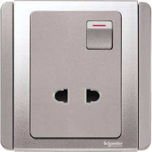 Schneider 10A 2 Pin Switched Socket Outlet, Grey Silver E3015US_GS