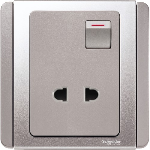 Schneider 10A 2 Pin Switched Socket Outlet, Grey Silver E3015US_GS
