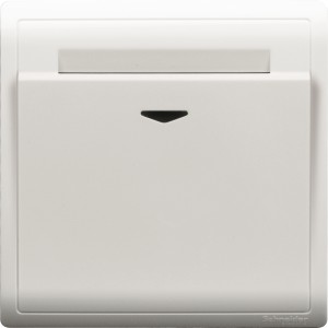 Schneider Pieno - 16A 250V - electronic key card switch with time delay E8231EKT