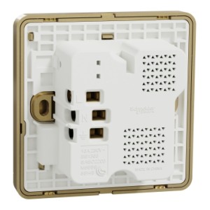 Schneider Switched Socket with USB Charger, AvatarOn, 21W Type A C, 13A, Wine Gold - E8315DACUSB_WG