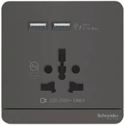 Schneider Switched socket with USB charger, AvatarOn, 10A 250V, 1gang, International soc, Dark grey E8315TSU_DG