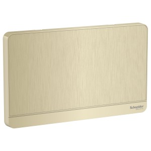 Schneider Electric AvatarOn  2G Blank Plate  Metal Gold Hairline E8330TX_GH