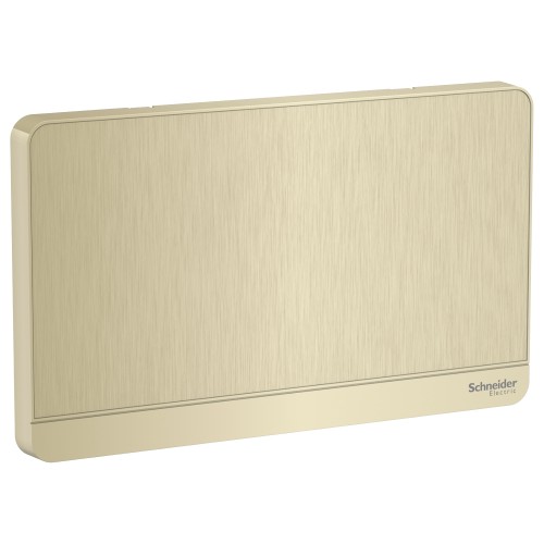 Schneider Electric AvatarOn  2G Blank Plate  Metal Gold Hairline E8330TX_GH