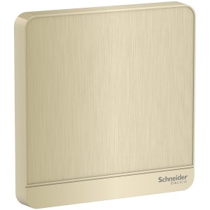 Schneider Electric AvatarOn Blank Plate 1 gang Metal Gold Hairline E8330X_GH