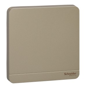 Schneider Electric AvatarOn blank plate 1 gang Wine Gold E8330X_WG