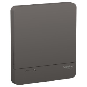 Schneider Electric AvatarOn cover plate for switch Key holder Dark Grey E8331KH_DG