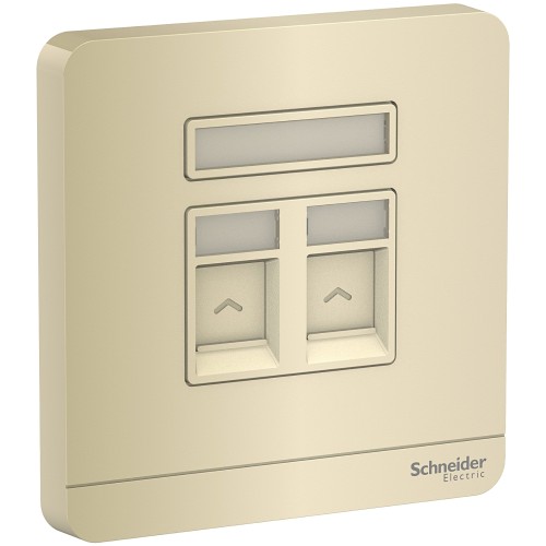 Schneider Electric Wall plate AvatarOn Gold 2 Gang S Keystone Wall plate E8332RJS_WG