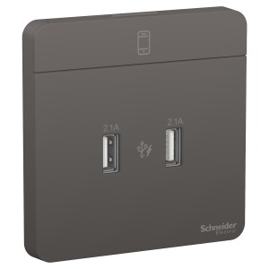 Schneider Electric AvatarOn 2 USB charger  2.1A Dark Grey E8332USB_DG