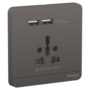 Schneider AvatarOn USB charger + 2 socket-outlet 2P 16A  Dark Grey E8342616USB_DG