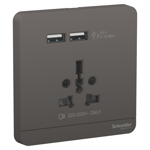 Schneider AvatarOn USB charger + 2 socket-outlet 2P 16A  Dark Grey E8342616USB_DG