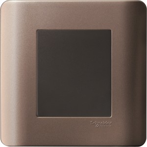 Schneider Zencelo - 1 Gang Blank Plate - Silver bronze E8430X-SZ