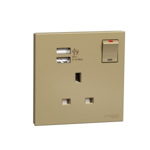 Schneider Electric AvatarOn C Switch Socket 13A 1 gang 2.1A two port USB wine gold E8715USB_WG