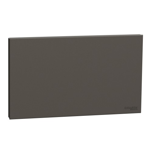 Schneider Electric AvatarOn C Blank Plate 2 gang dark grey E8730TX_DG