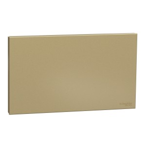 Schneider Electric AvatarOn C Blank Plate 2 gang wine gold E8730TX_WG