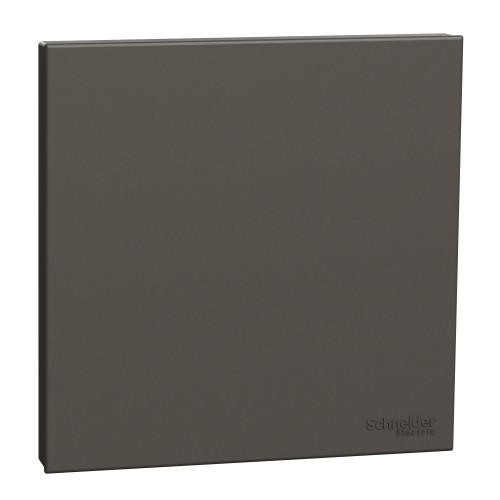 Schneider Electric AvatarOn C Blank Plate 1 gang dark grey E8730X_DG