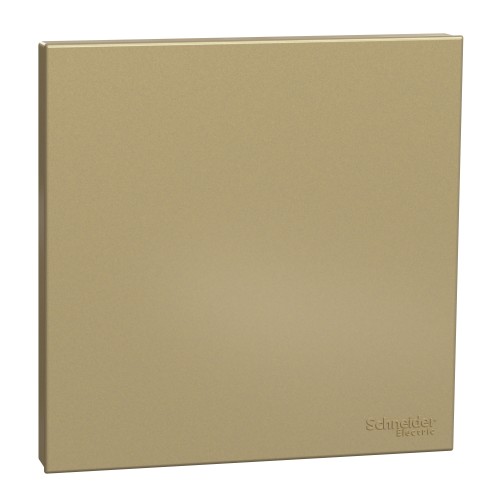 Schneider Electric AvatarOn C Blank Plate 1 gang wine gold E8730X_WG