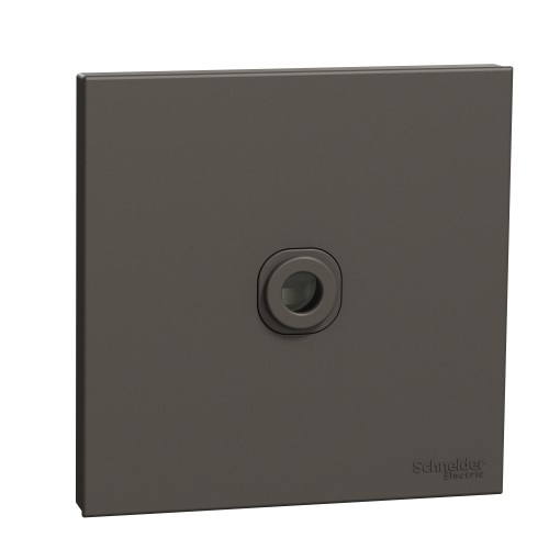 Schneider Electric AvatarOn C Connection Unit  25A 250V 1 gang dark grey E8731TB_DG