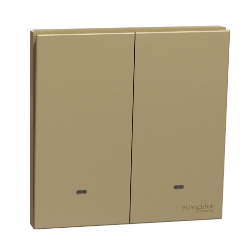 Schneider Electric AvatarOn C Switch with Fluorescent Locator 1 way 2 gang 16AX 250V wine gold E8732L1F_WG