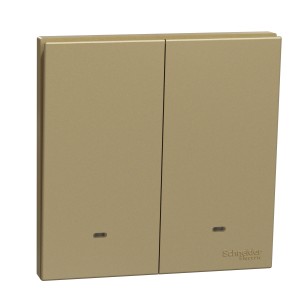 Schneider Electric AvatarOn C Switch with Fluorescent Locator 2 way 2 gang 16AX 250V wine gold E8732L2F_WG