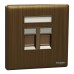 Schneider Electric Central plate, Unica, for RJ45, 2 gangs, with shutter, antique brass, NUX32RJ_AB