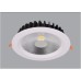 Scolmore OVIA LED DOWNLIGHT COB 30W AC 220-240V 3000LM 6500K,  IP20, PF>0.5, Ra:80 SDAL2042-30W6.5K