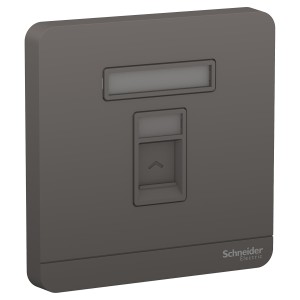 Schneider AvatarOn wallplate for 1 keystone RJ45 Dark grey E8331RJS_DG