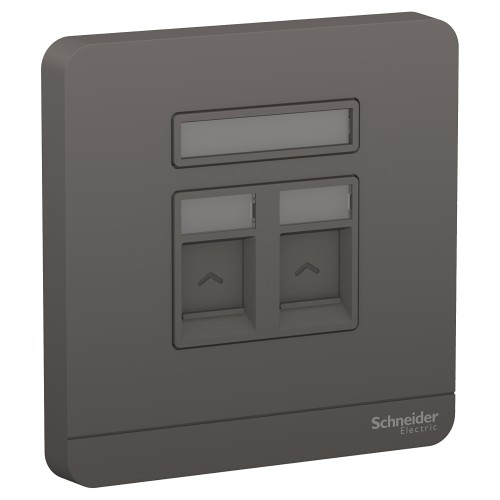 Schneider AvatarOn wallplate for 2 keystone RJ45 Dark grey E8332RJS_DG