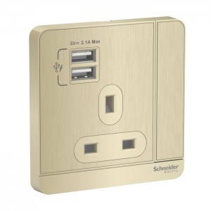 Schneider Electric AvatarOn switched socket 2 USB charger 3P 13A Metal Gold Hairline E8315USB_GH_G12