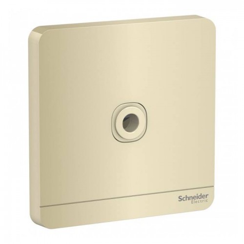 Schneider Electric Connection Unit AvatarOn Gold 25A 1 Gang Connection Unit E8331TB_WG