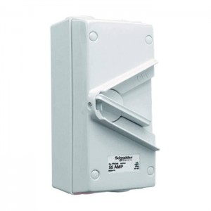 Schneider Electric Surface Mount Double Pole Isolating Switch 55A 440V Switch IP66 WHD55
