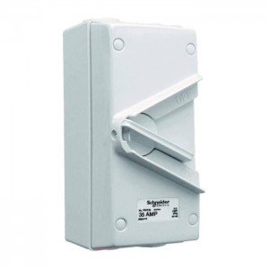 Schneider Electric Surface Mount Double Pole Isolating Switch 35A 440V IP66 Switch WHD35