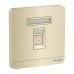 Schneider Electric Wallplate AvatarOn Gold 1 Gang S Keystone Wallplate E8331RJS_WG