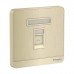 Schneider Electric Wallplate AvatarOn Metal gold hairline keystone RJ45 wallplate E8331RJS_GH